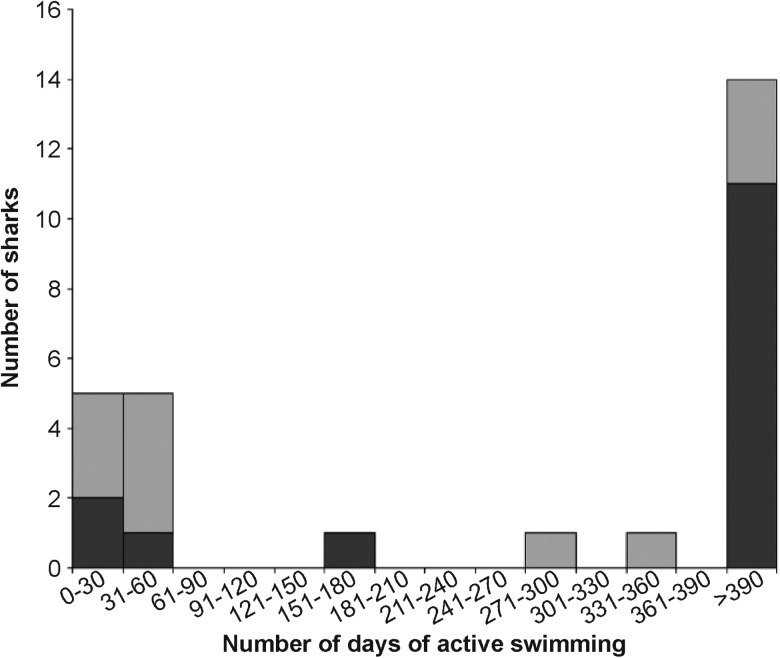 Figure 6: