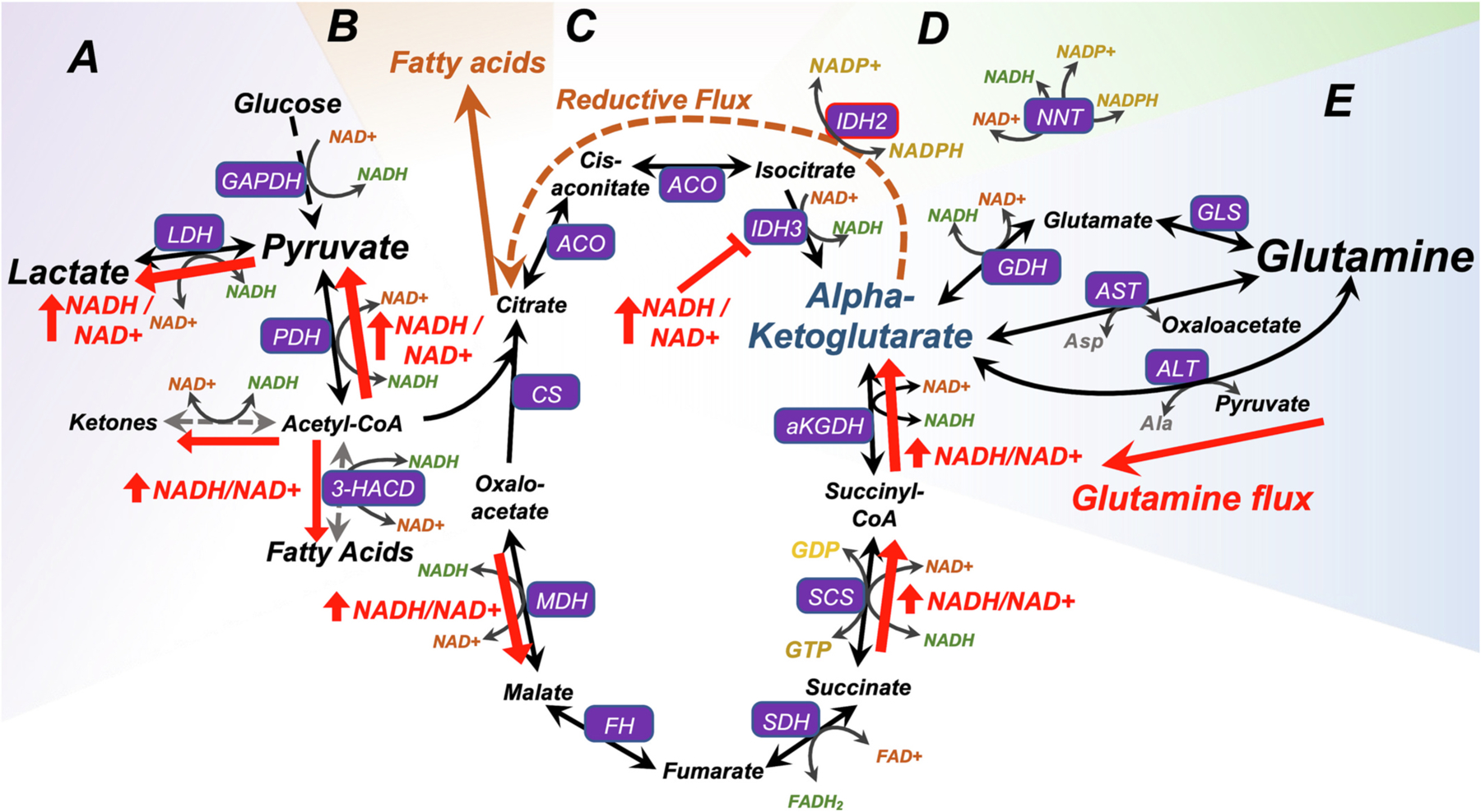 Fig. 2.