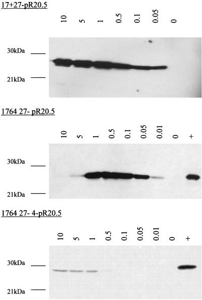 FIG. 4