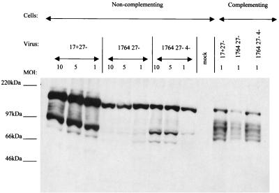 FIG. 5