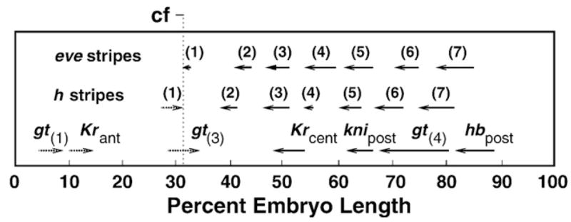 Fig. 9