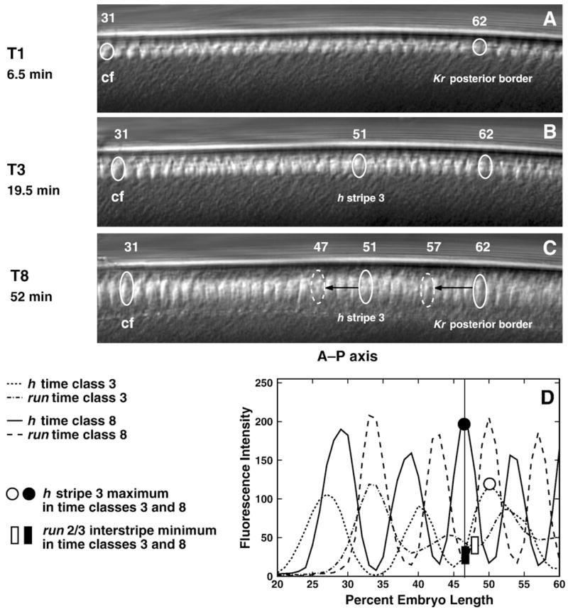 Fig. 10