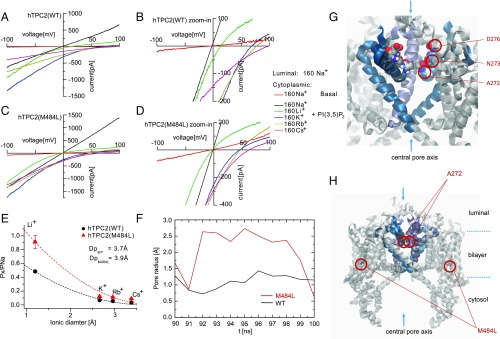 Fig. 4.