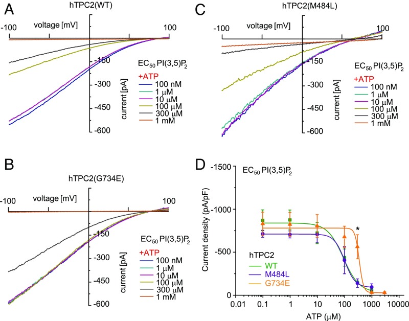 Fig. 2.