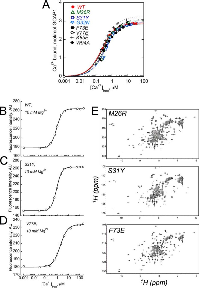 FIGURE 7.