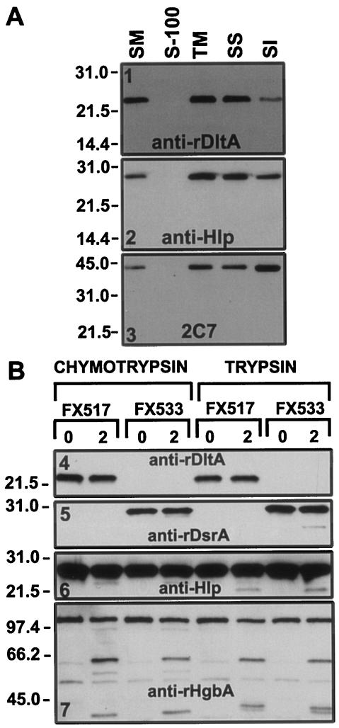 FIG. 7.