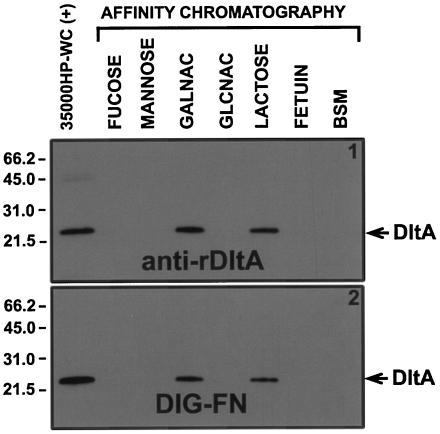 FIG. 5.