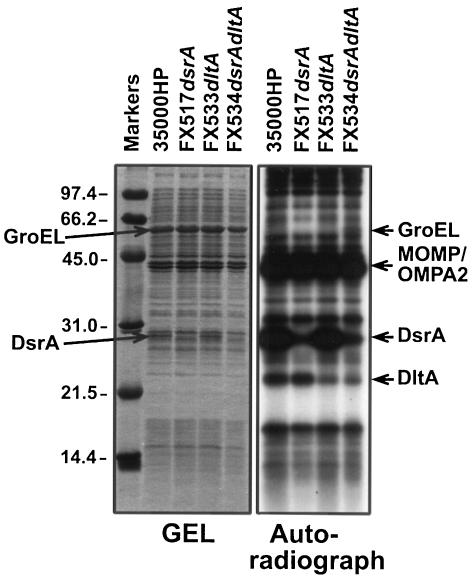 FIG. 8.