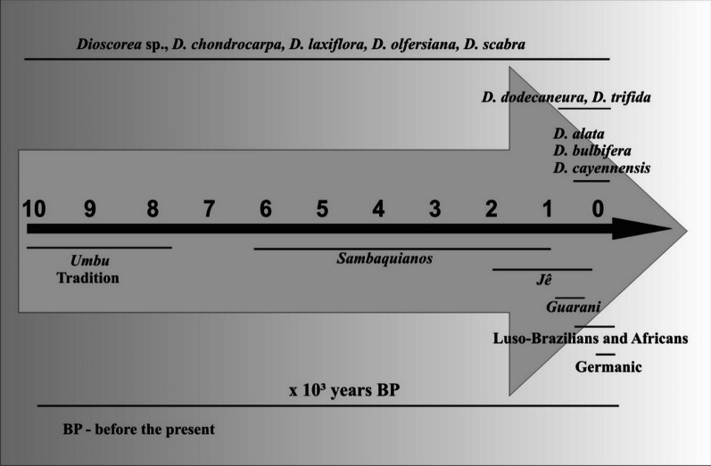 Fig. 5
