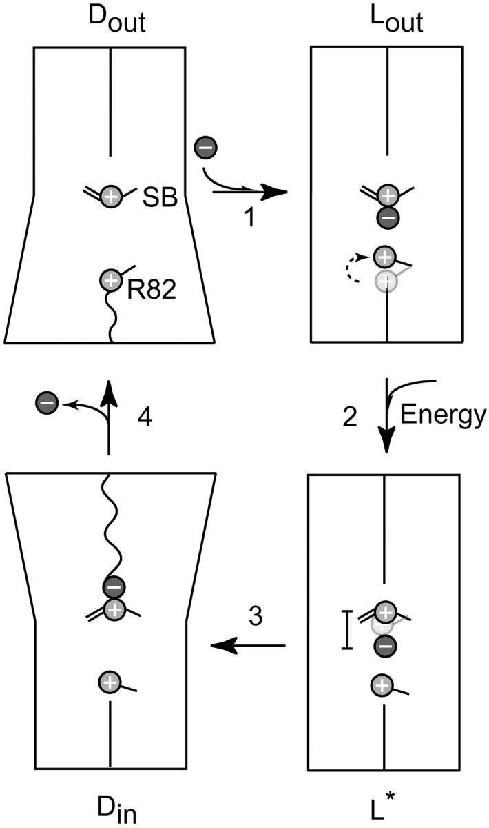 FIGURE 6