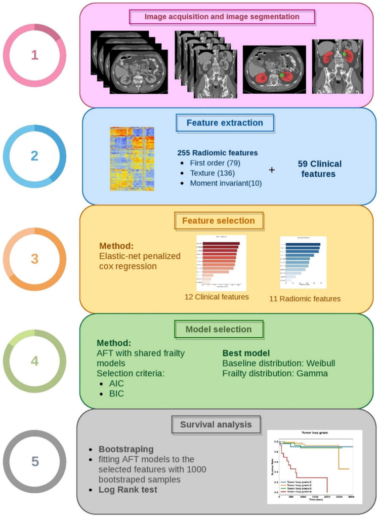 Overall survival prediction in renal cell carcinoma patients using