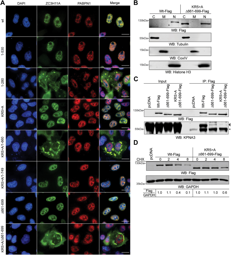 Figure 6