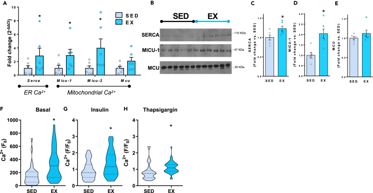 Figure 4