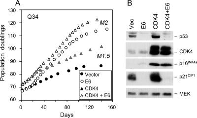 FIG. 7.