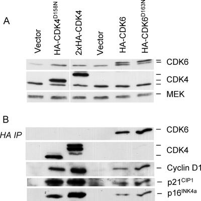 FIG. 5.