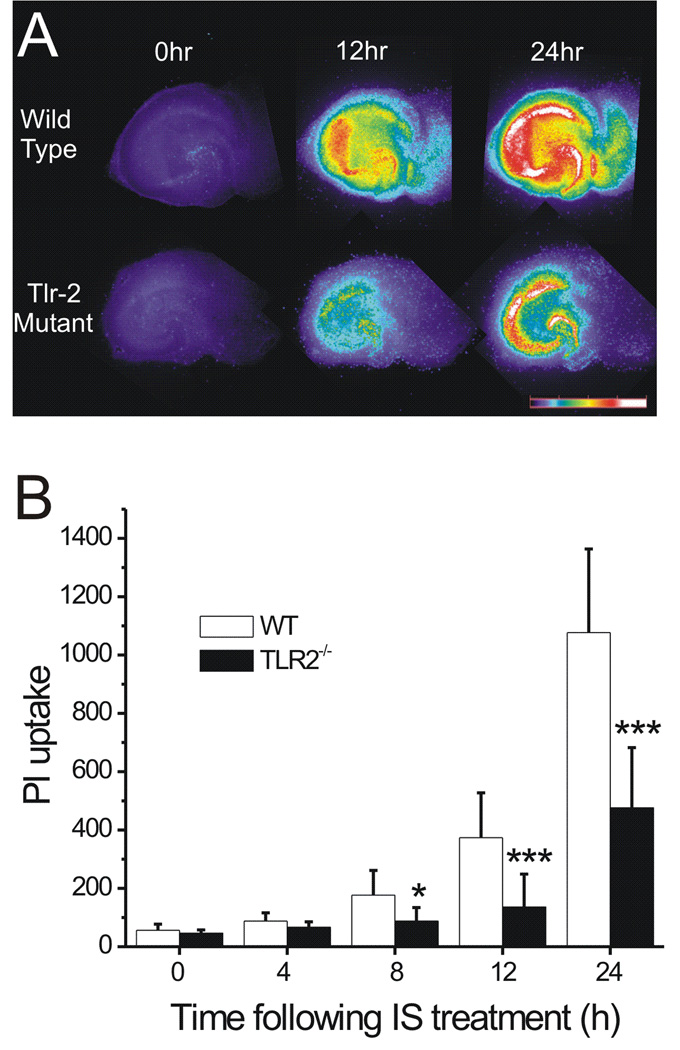 Fig. 7