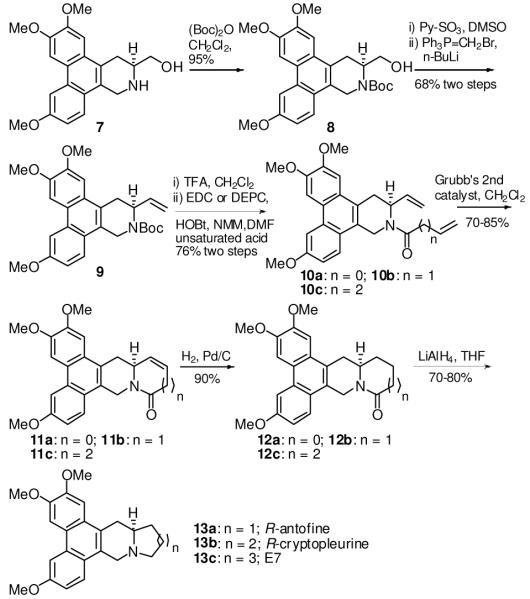 Scheme 2