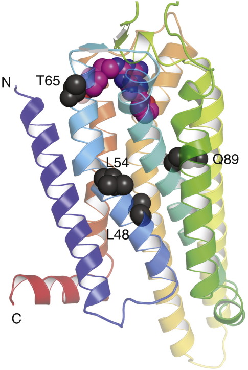 Fig. 6