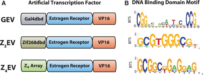 Figure 2.