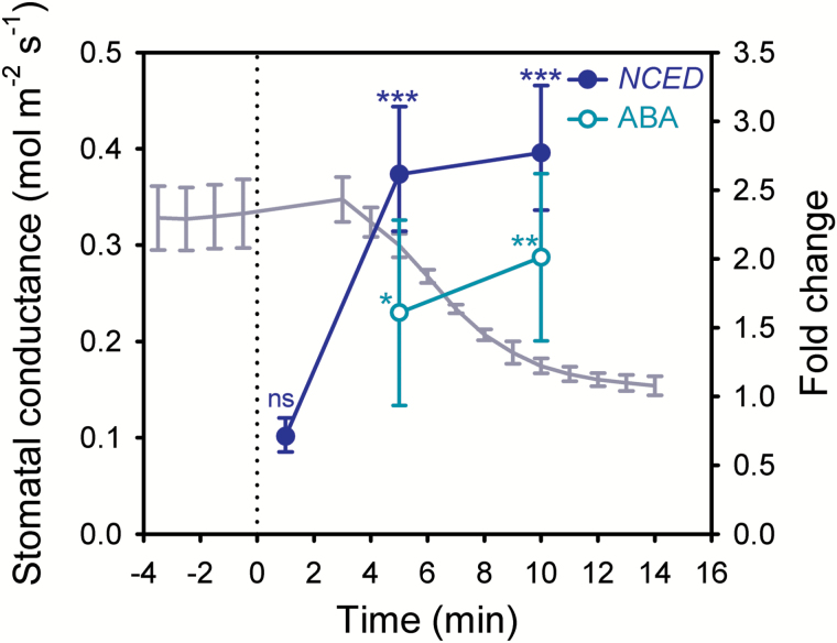 Fig. 1.