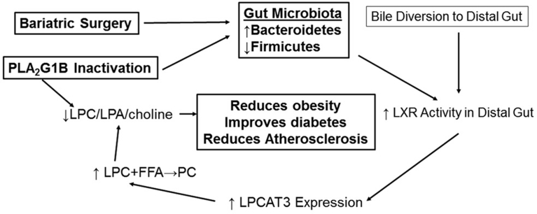 Figure 6