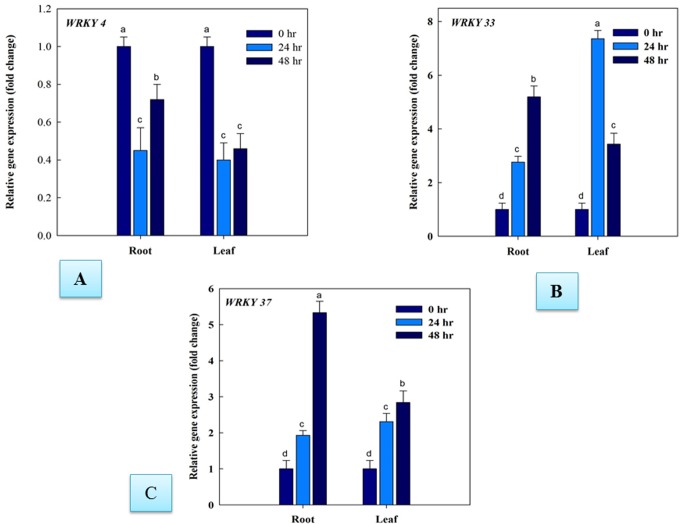 Fig 3