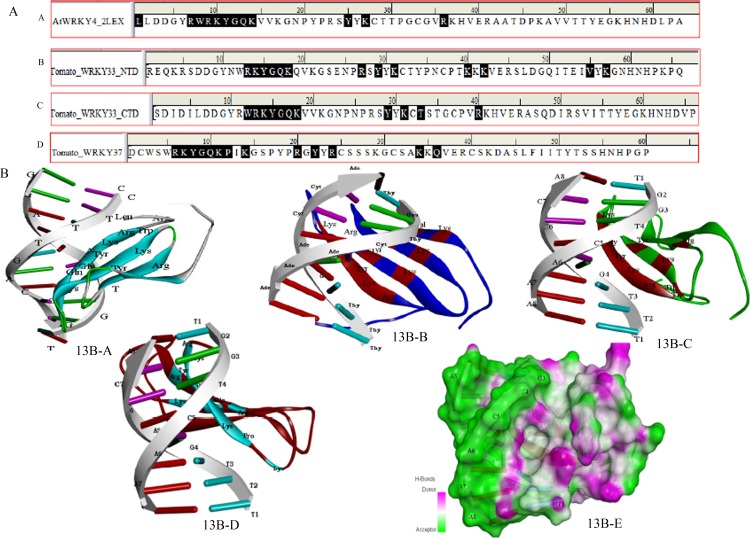 Fig 13