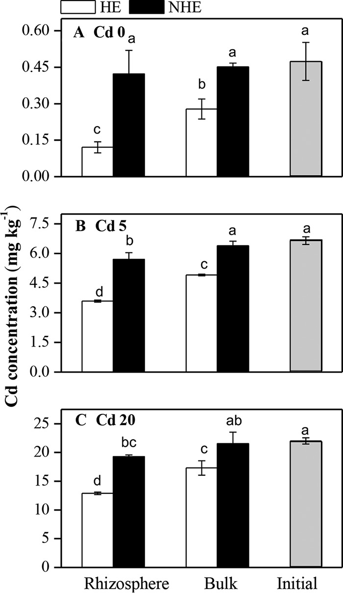 FIG 2