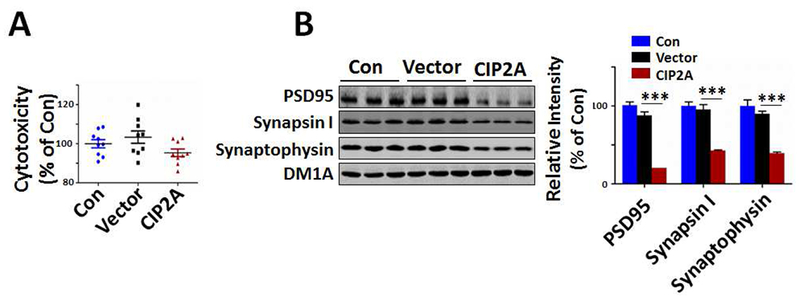 Fig.5.