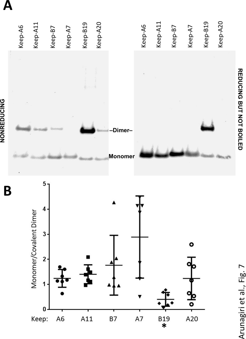 Figure 7.