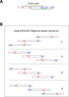 Figure 7—figure supplement 1.