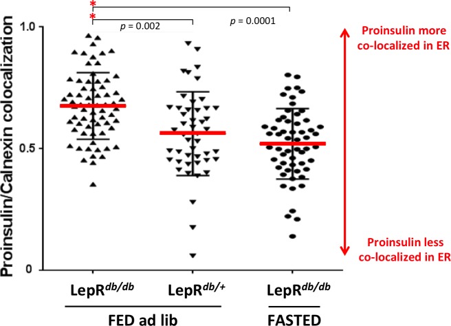 Figure 4—figure supplement 1.