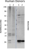 Figure 2—figure supplement 1.