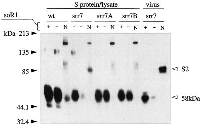 FIG. 4.