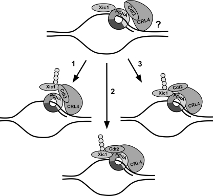 FIG. 10.