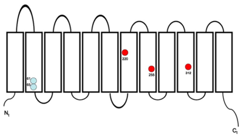 Fig. 3