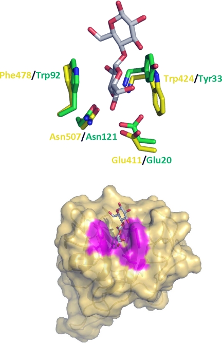 FIGURE 9.