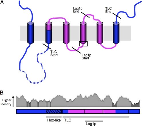 FIGURE 11.