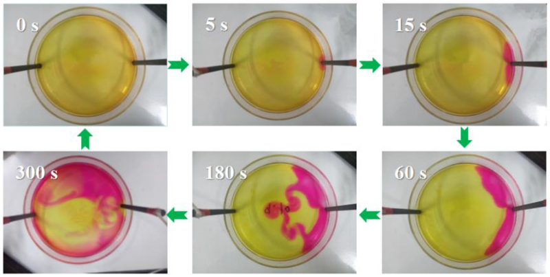 Fig. 3