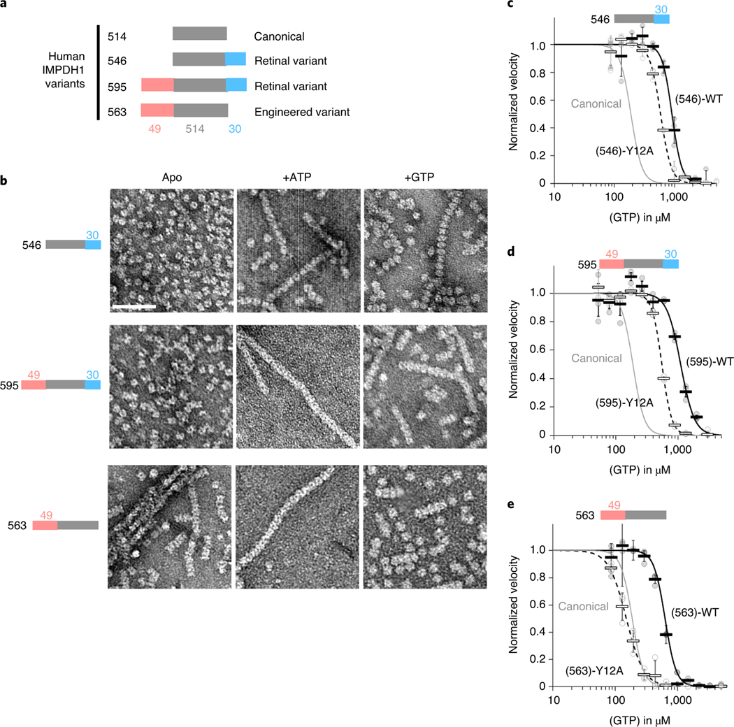 Fig. 4 |