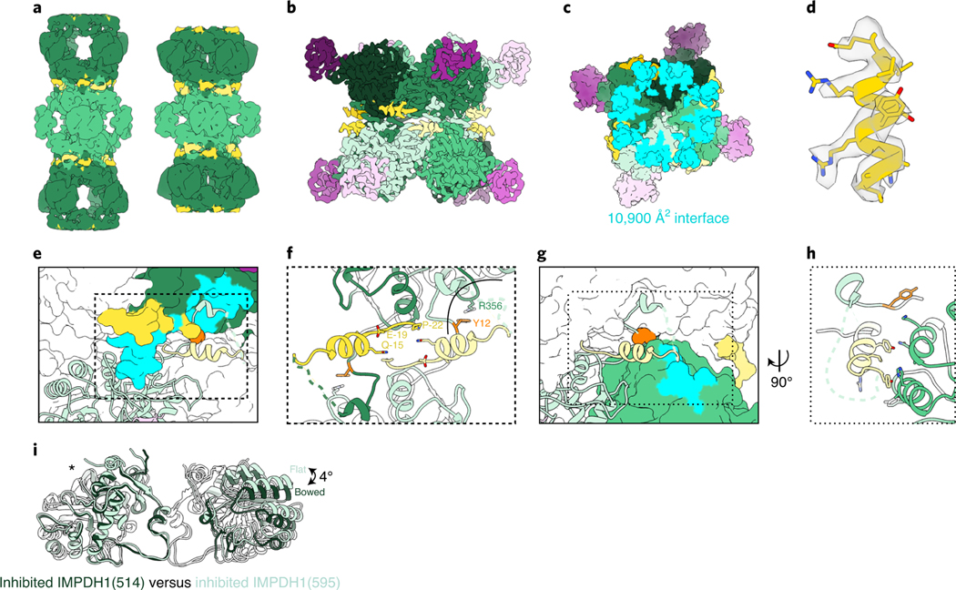 Fig. 5 |