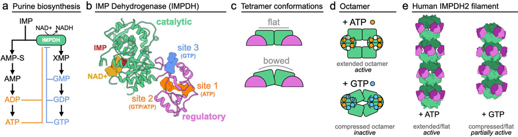 Extended Data Fig. 1 |