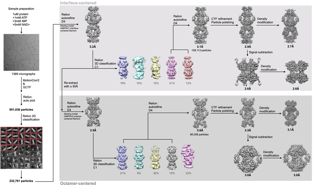 Extended Data Fig. 4 |