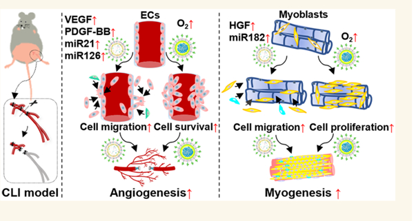 graphic file with name nihms-1956276-f0001.jpg