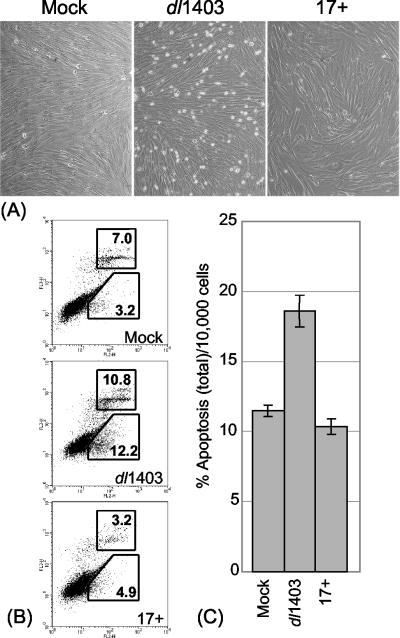 FIG. 5.