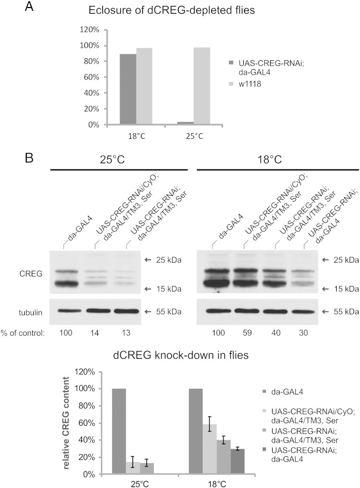 Fig. 7