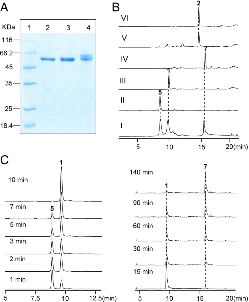 Fig. 3.