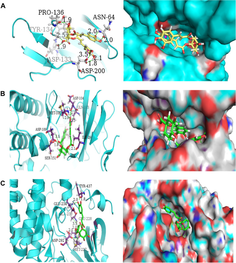 Fig. 6