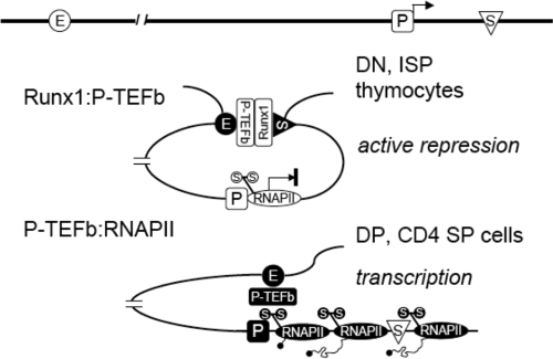 FIG. 4.