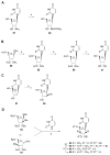 Scheme 6